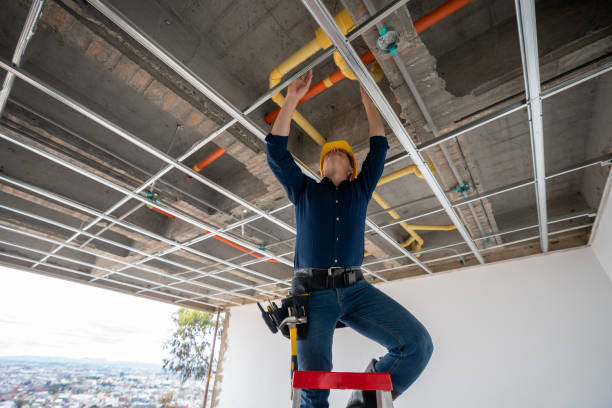 Best Plumbing Inspection Services  in Cairo, GA